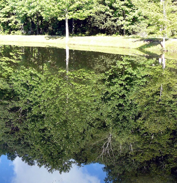 Reflections